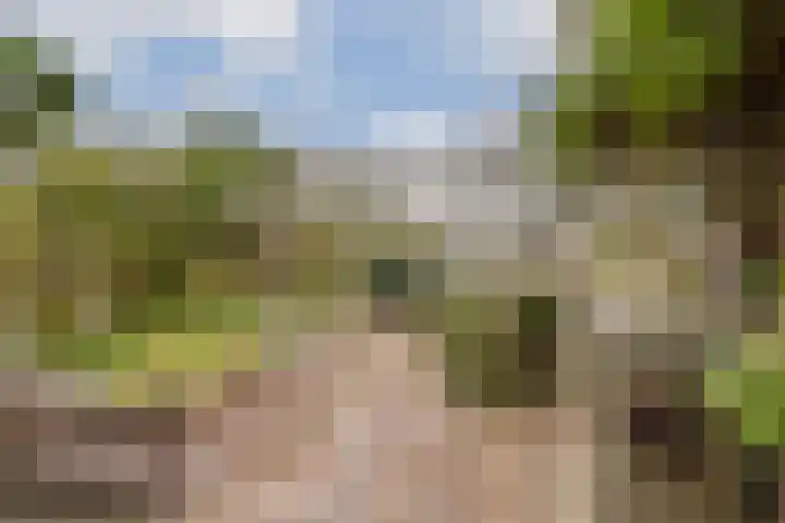 Korenwijnpad 3 Schiedam thumbnail 14