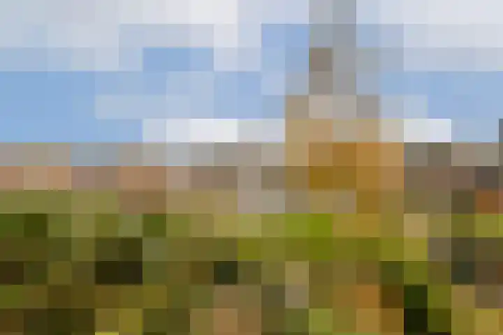 Korenwijnpad 3 Schiedam thumbnail 15