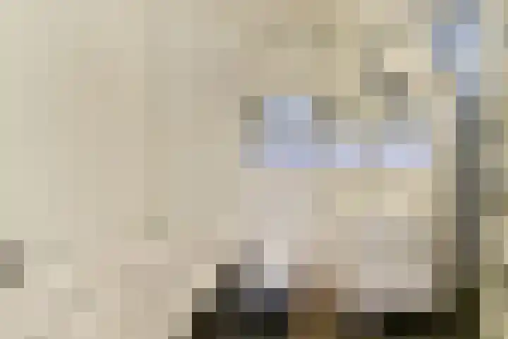 Korenwijnpad 3 Schiedam thumbnail 19