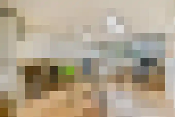 Korenwijnpad 3 Schiedam thumbnail 26