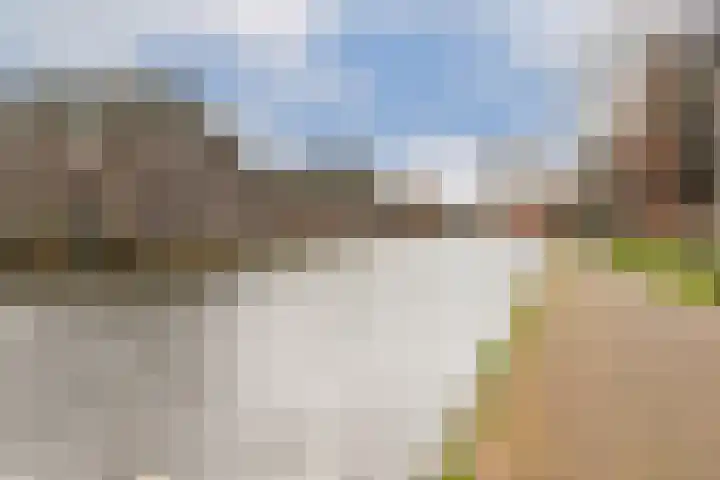Korenwijnpad 3 Schiedam thumbnail 32