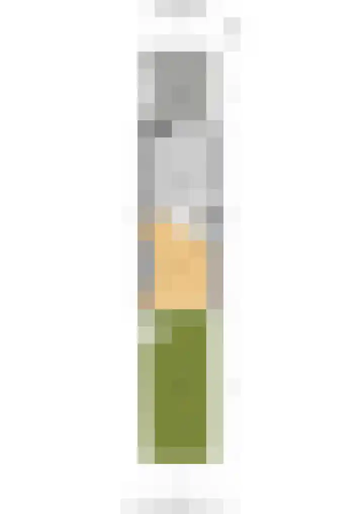 Korenwijnpad 3 Schiedam thumbnail 34