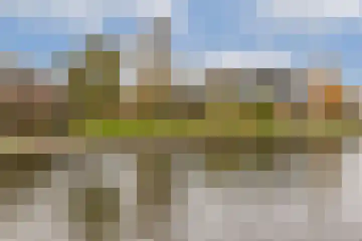 Korenwijnpad 3 Schiedam thumbnail 5