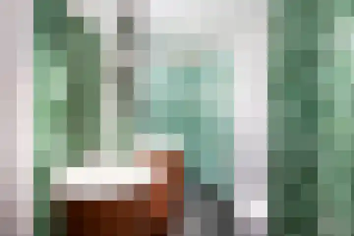 Korenwijnpad 6 Schiedam thumbnail 18