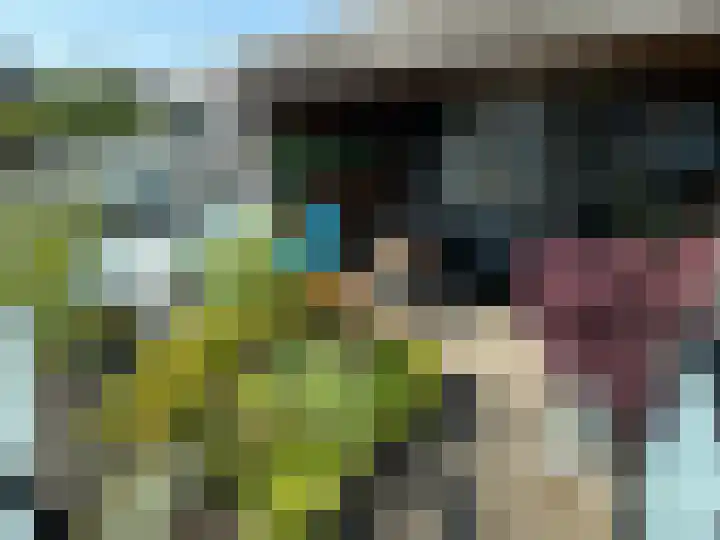 Korenwijnpad 6 Schiedam thumbnail 21