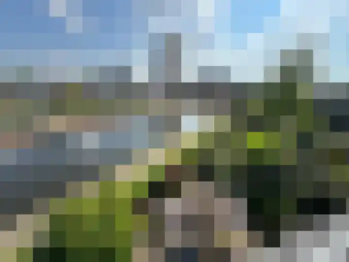 Korenwijnpad 6 Schiedam thumbnail 23