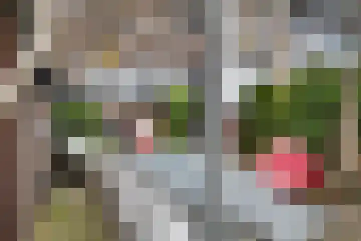 Korenwijnpad 6 Schiedam thumbnail 28
