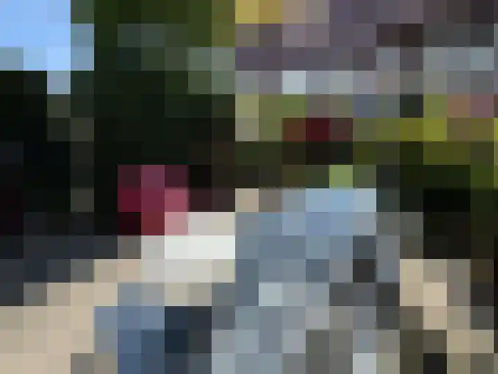 Korenwijnpad 6 Schiedam thumbnail 29