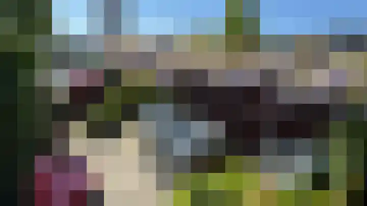 Korenwijnpad 6 Schiedam thumbnail 30