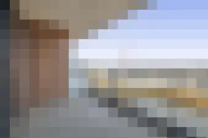 Korenwolf 10 's-Gravenzande thumbnail 13