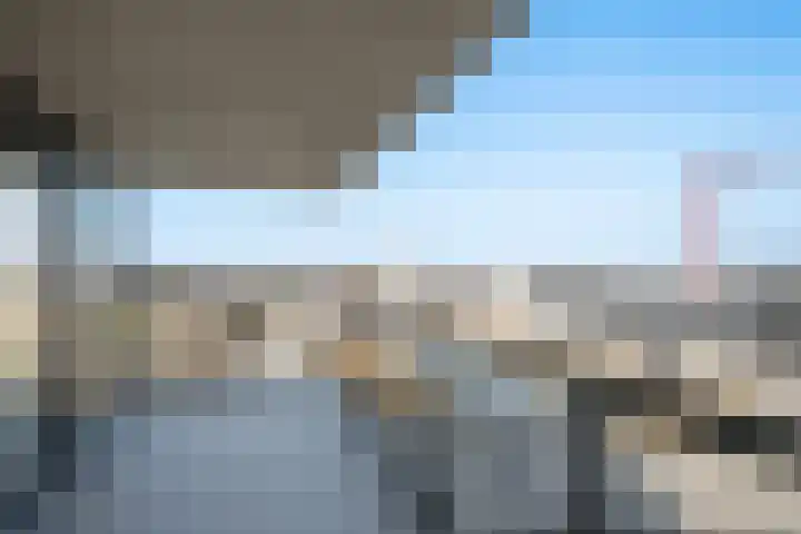 Korenwolf 25 's-Gravenzande thumbnail 18