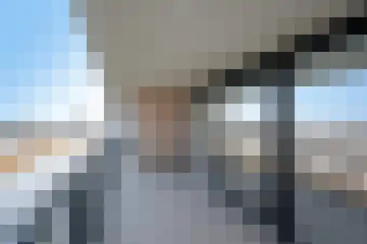 Korenwolf 25 's-Gravenzande thumbnail 20