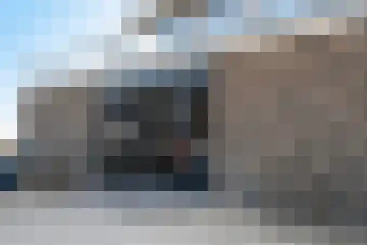 Korenwolf 25 's-Gravenzande thumbnail 21