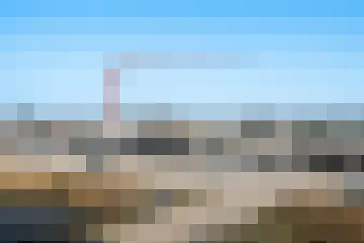 Korenwolf 25 's-Gravenzande thumbnail 23