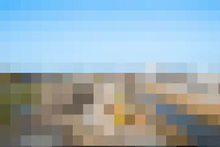 Korenwolf 25 's-Gravenzande thumbnail 24