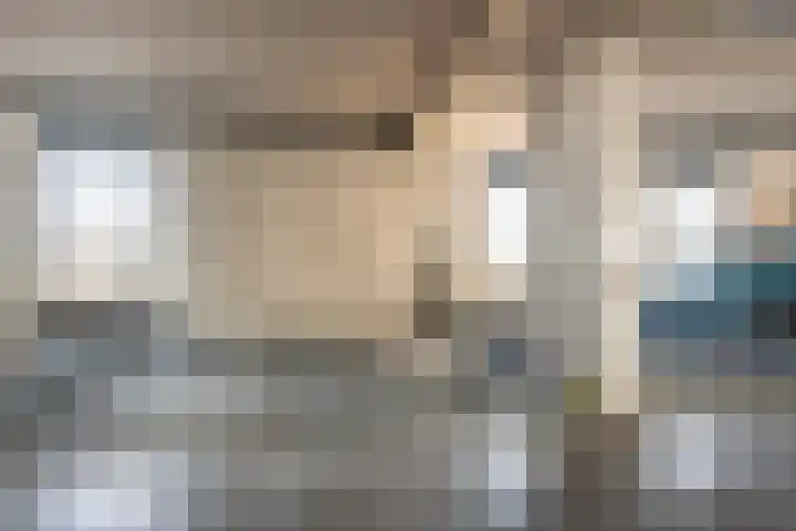Korenwolf 25 's-Gravenzande thumbnail 5