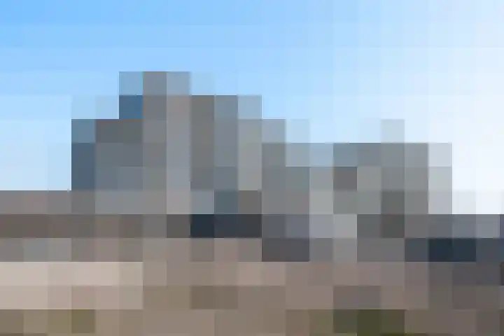 Korenwolf 25 's-Gravenzande thumbnail 7