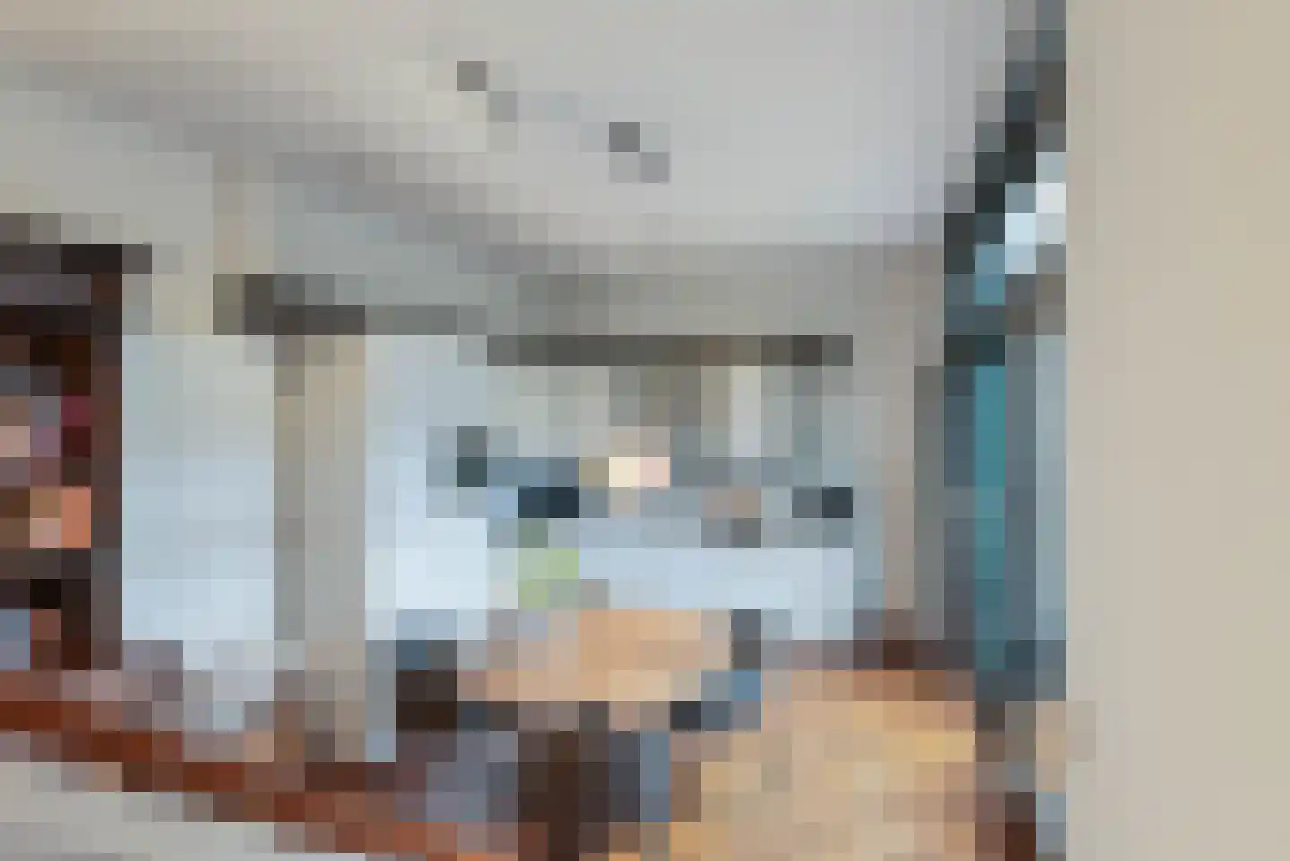 Korenwolfstraat 43 Eindhoven thumbnail 19