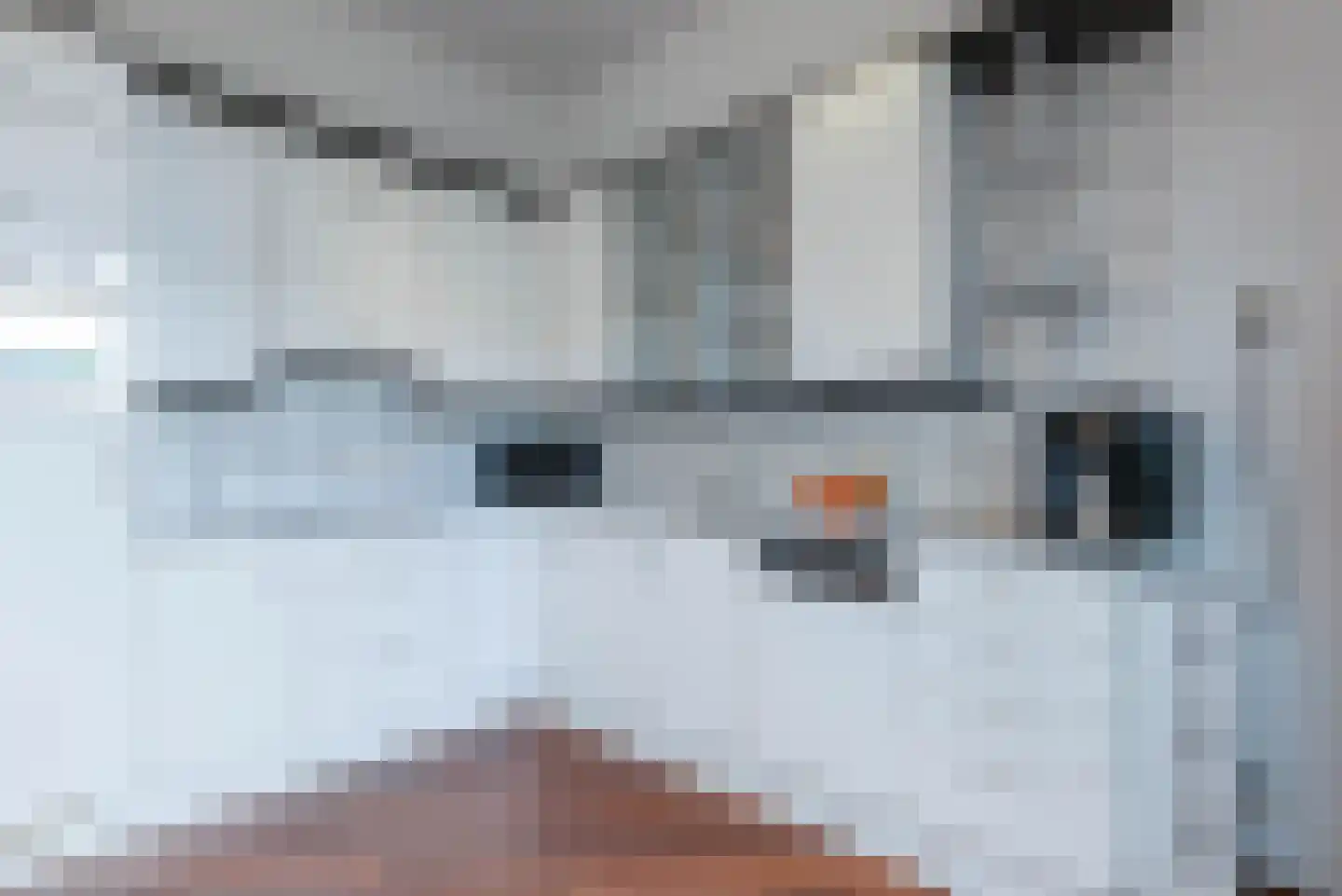 Korenwolfstraat 43 Eindhoven thumbnail 21
