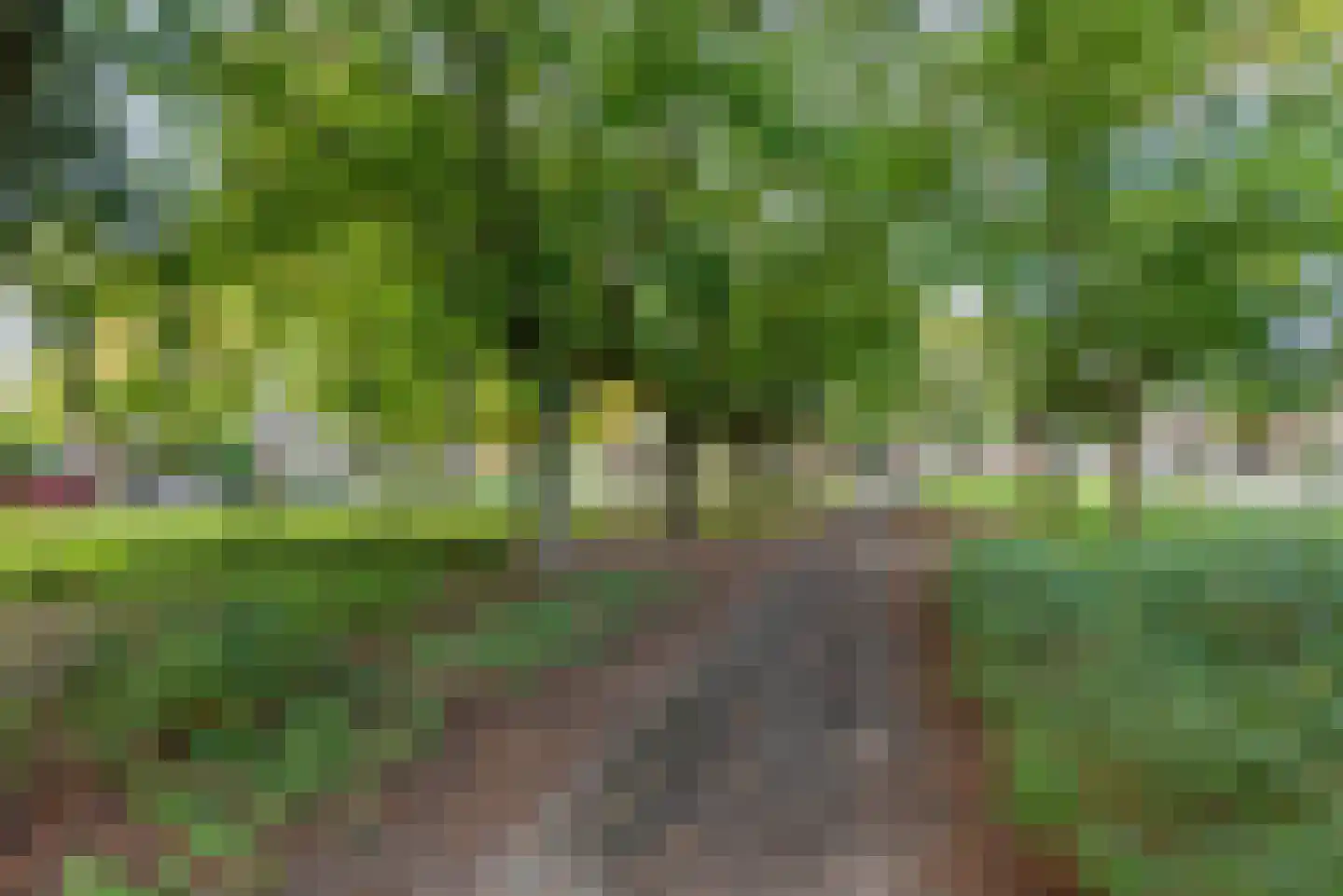 Korenwolfstraat 43 Eindhoven thumbnail 53