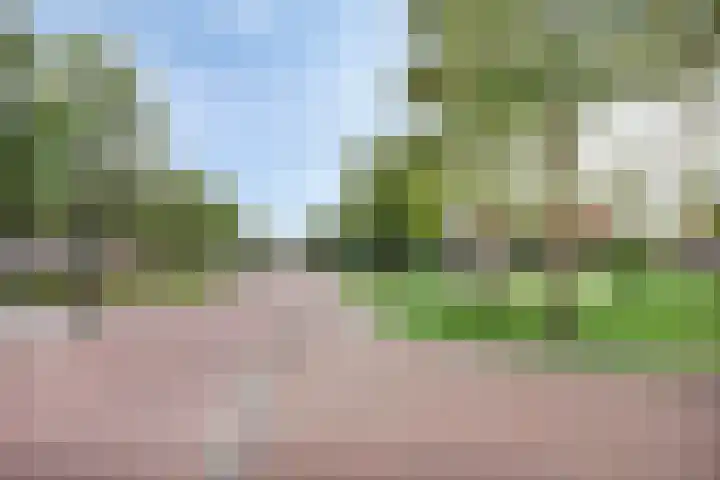 Korevaarstraat 2 C Leiden thumbnail 38