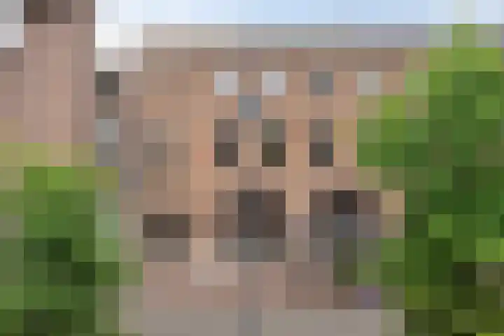 Korevaarstraat 2 C Leiden thumbnail 41