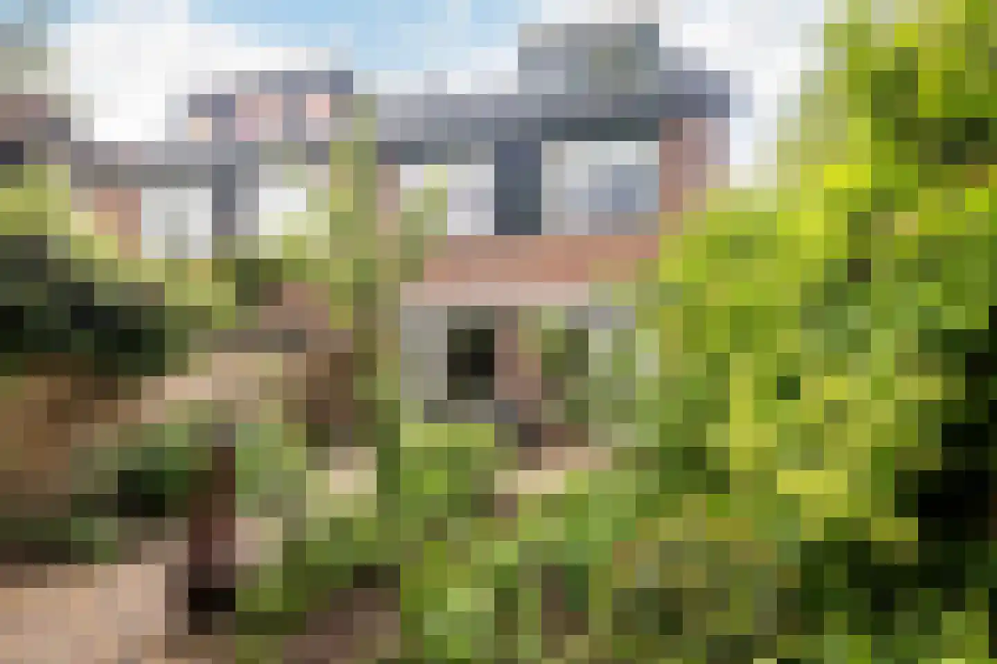 Korf 1 Blaricum thumbnail 20