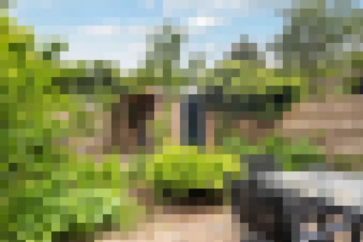 Korf 1 Blaricum thumbnail 23