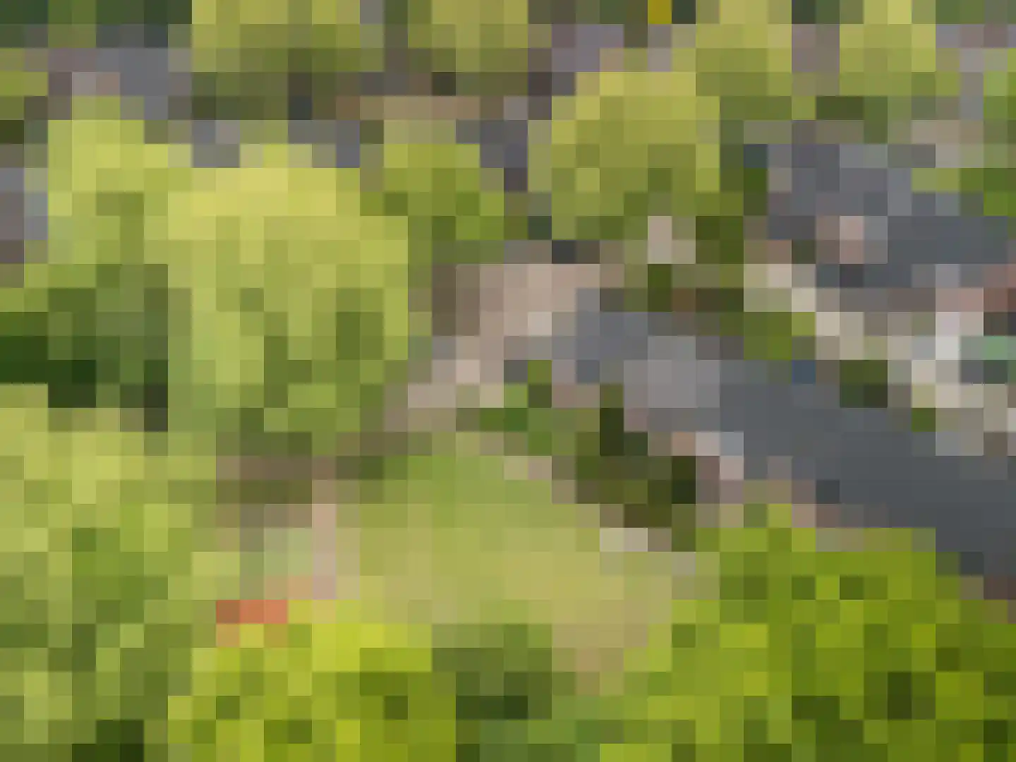 Korf 1 Blaricum thumbnail 26