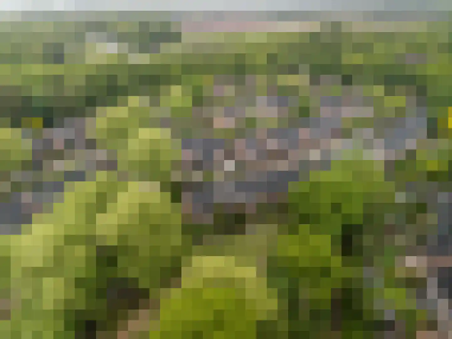 Korf 1 Blaricum thumbnail 27