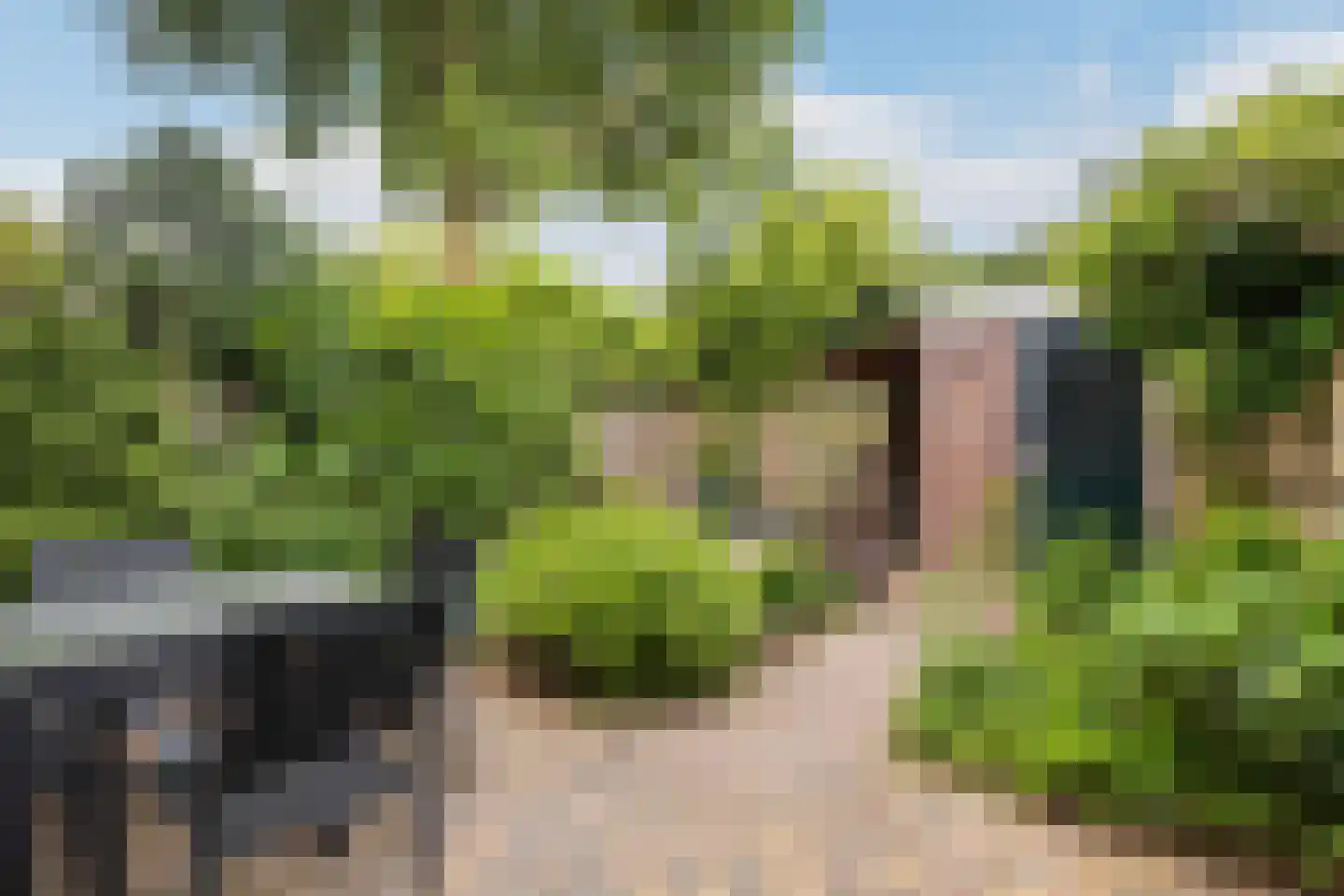 Korf 1 Blaricum thumbnail 4