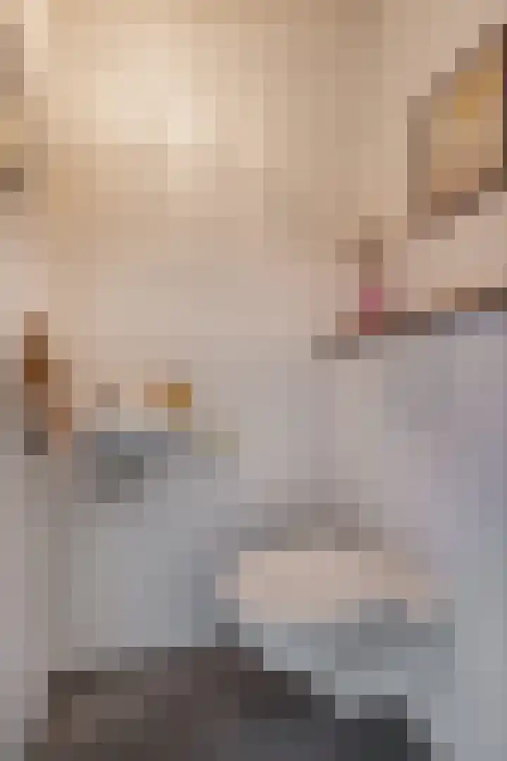 Korf 10 Den Dungen thumbnail 11