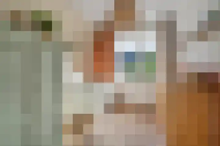 Korf 10 Den Dungen thumbnail 14