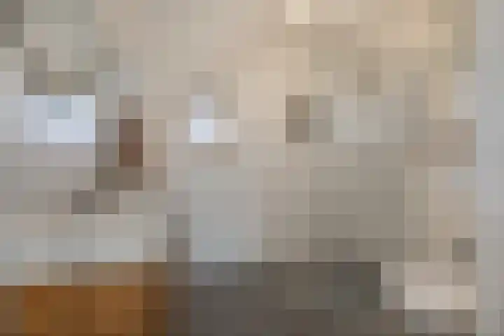 Korf 10 Den Dungen thumbnail 15