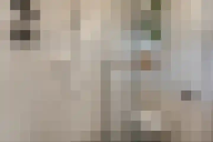 Korf 10 Den Dungen thumbnail 16