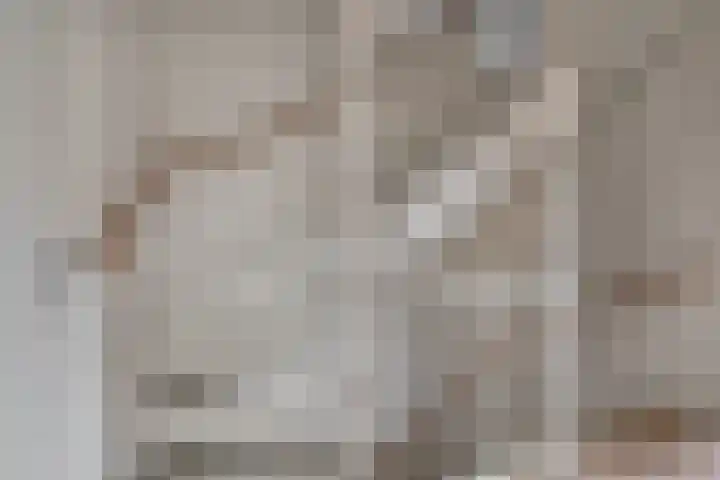 Korf 10 Den Dungen thumbnail 17