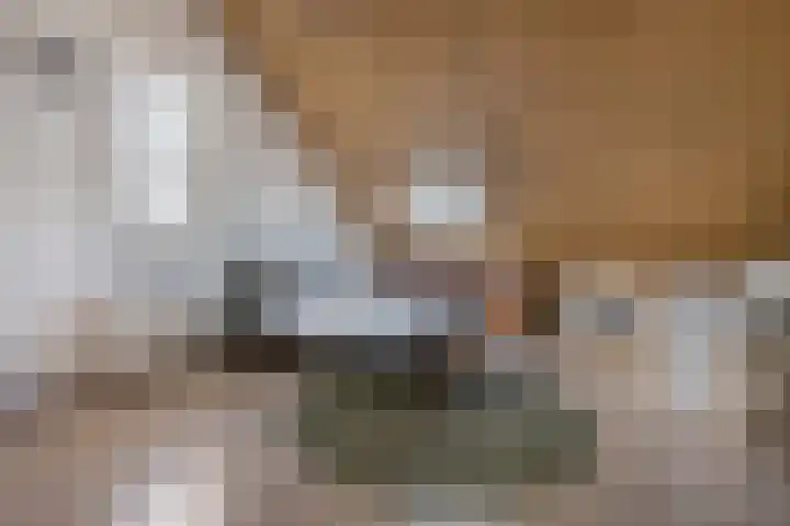 Korf 10 Den Dungen thumbnail 18