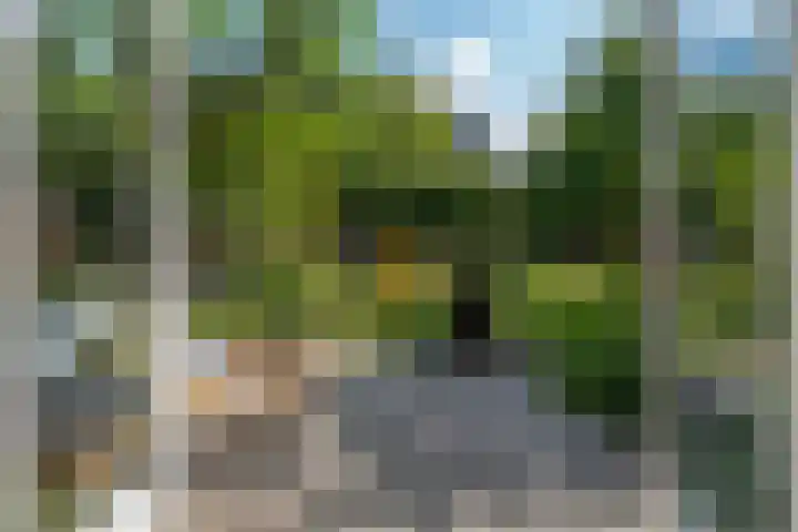 Korf 10 Den Dungen thumbnail 19