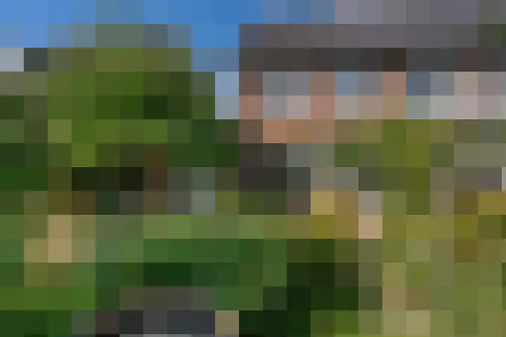 Korf 10 Den Dungen thumbnail 21