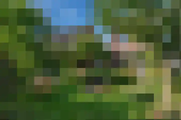 Korf 10 Den Dungen thumbnail 22