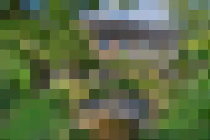 Korf 10 Den Dungen thumbnail 23