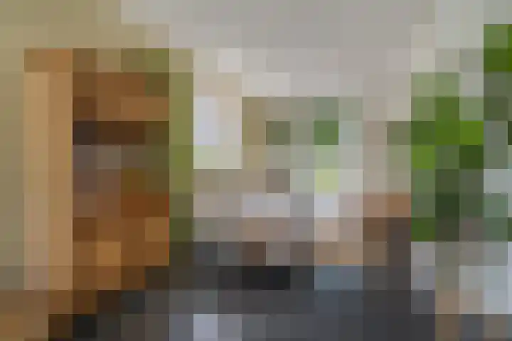 Korf 10 Den Dungen thumbnail 4