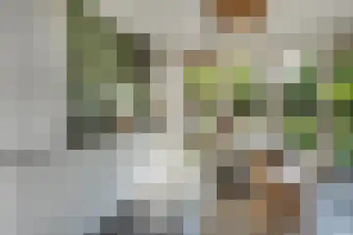 Korf 10 Den Dungen thumbnail 9