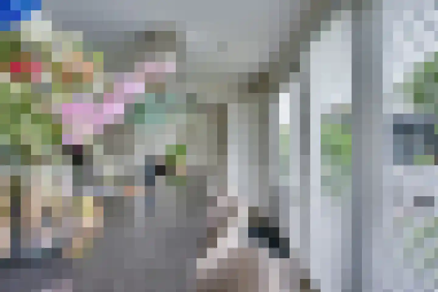 Korf 11 Almkerk thumbnail 22
