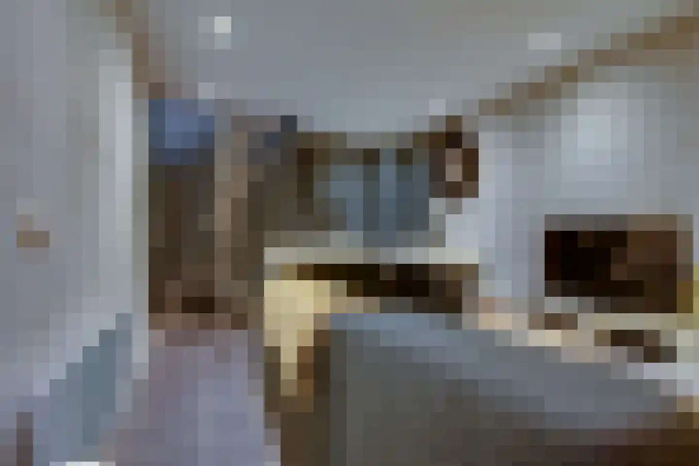Korf 11 Almkerk thumbnail 28