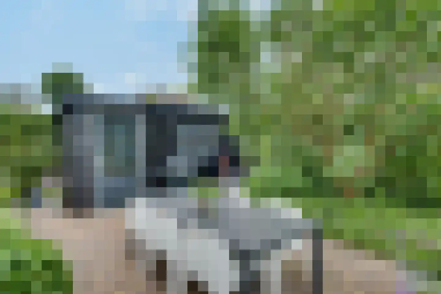 Korf 11 Almkerk thumbnail 44