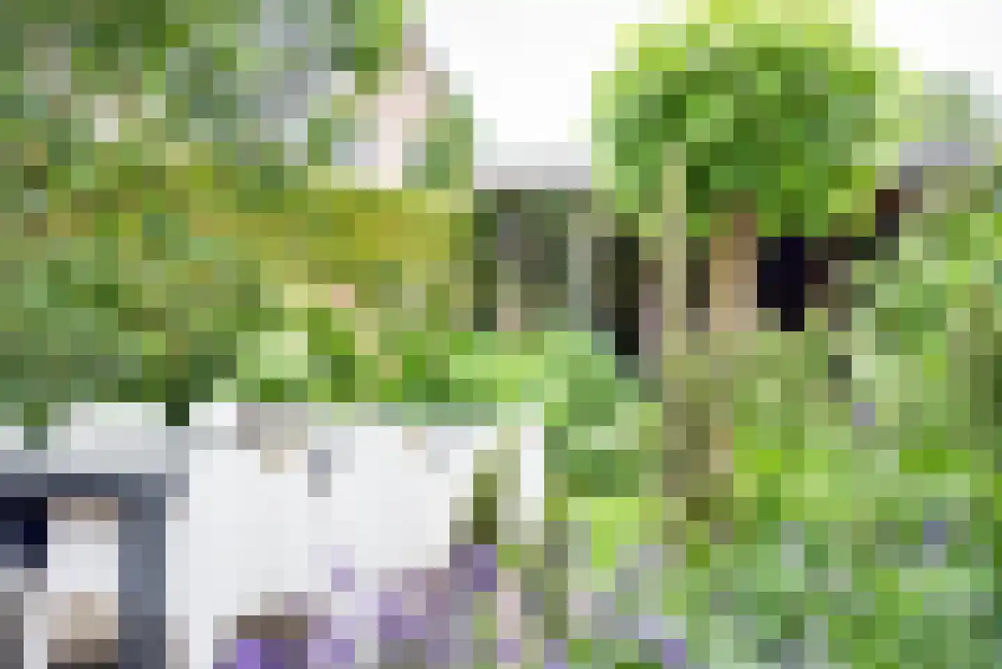 Korf 11 Almkerk thumbnail 51