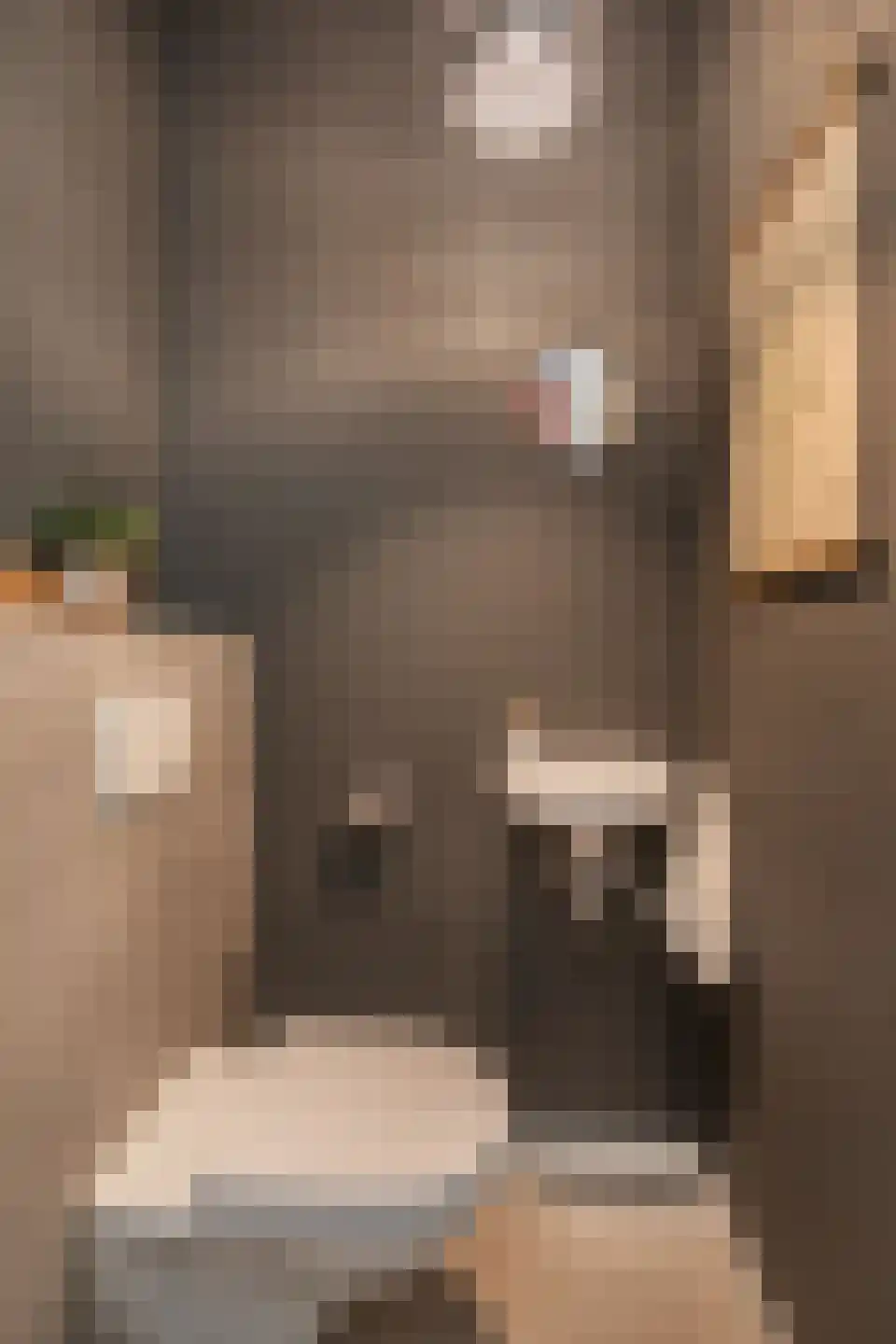 Korf 4 Den Dungen thumbnail 11