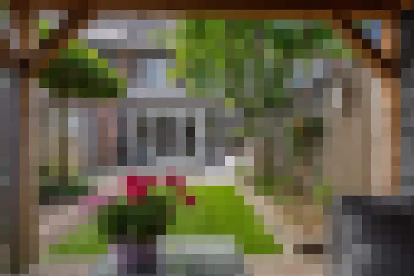 Korf 4 Den Dungen thumbnail 22