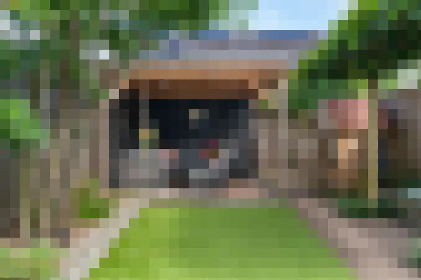 Korf 4 Den Dungen thumbnail 25